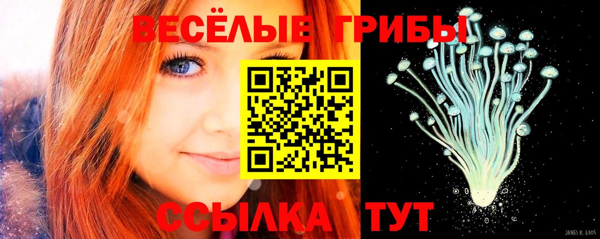 Псилоцибиновые грибы ЛСД Усть-Джегута
