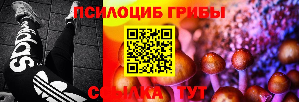 Усть-Джегута  Псилоцибиновые грибы прущие грибы  Вход с VPN 