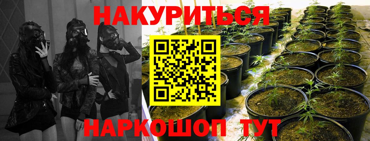 Бошки марихуана марихуана Усть-Джегута